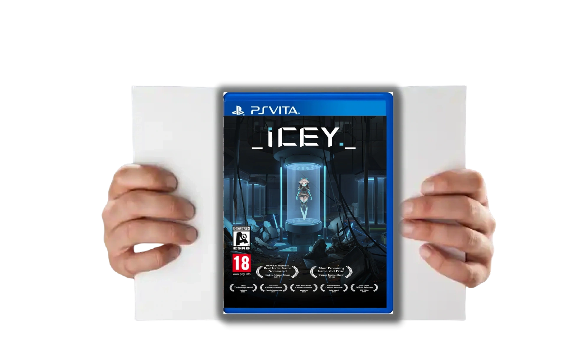 large picture of the cover